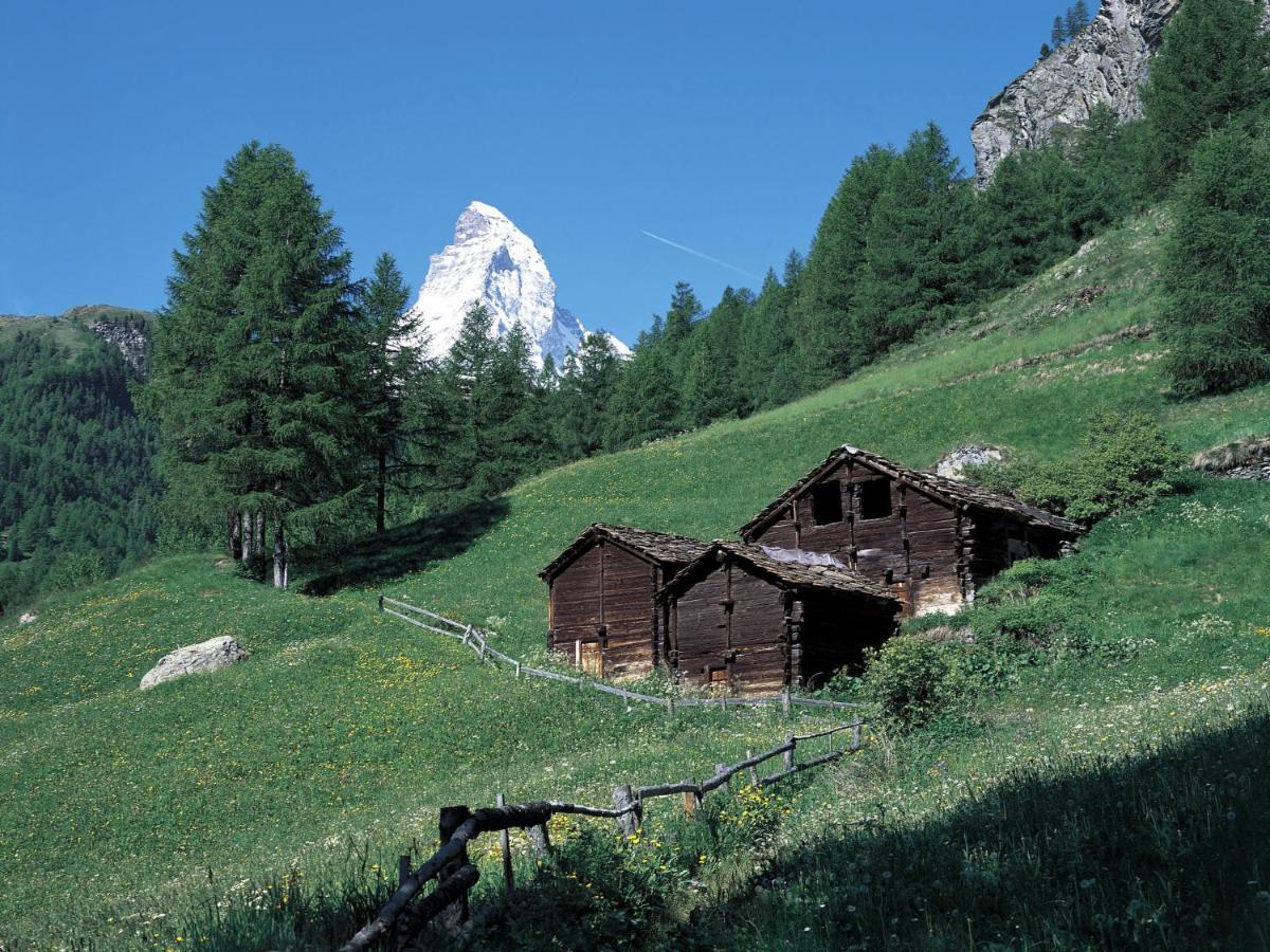 Apartment Breithorn By Interhome Zermatt Eksteriør billede