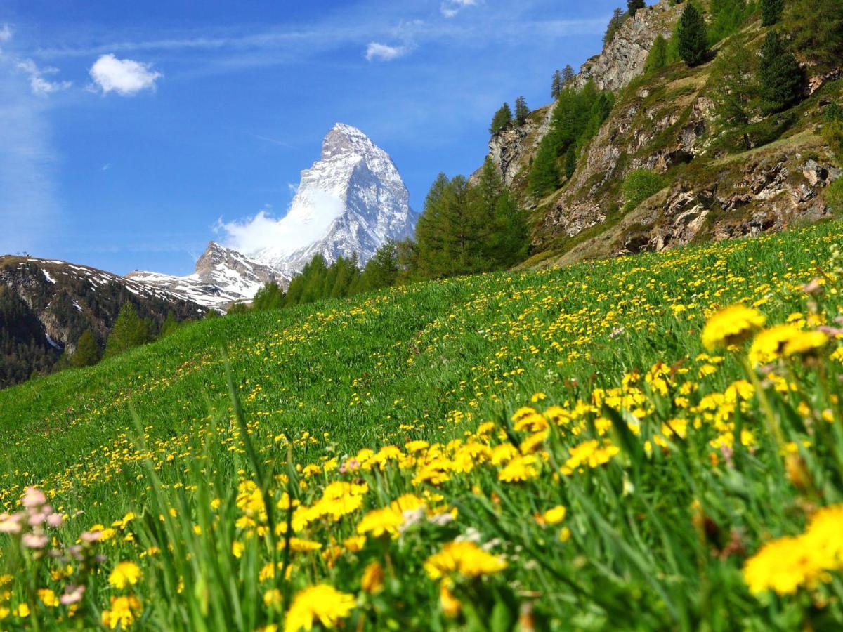 Apartment Breithorn By Interhome Zermatt Eksteriør billede